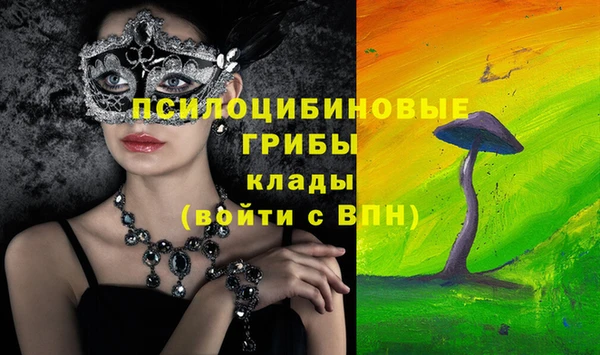 ПСИЛОЦИБИНОВЫЕ ГРИБЫ Белокуриха