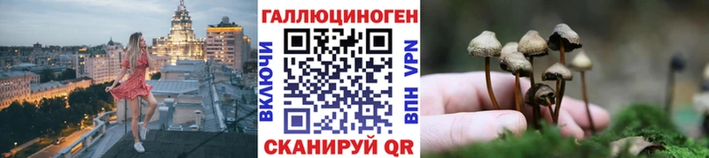 Галлюциногенные грибы Psilocybe  omg как войти  Онега 
